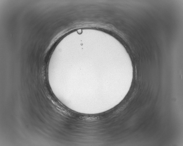 X0000080171501200701051618