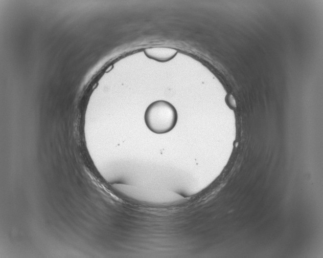 X0000080171502200701051618
