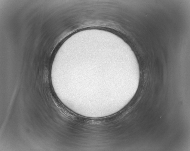 X0000080171505200701051618