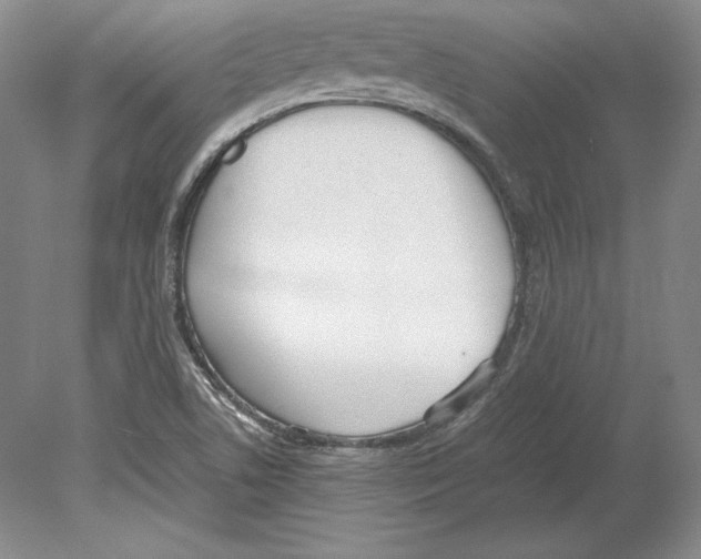 X0000080171506200701051618