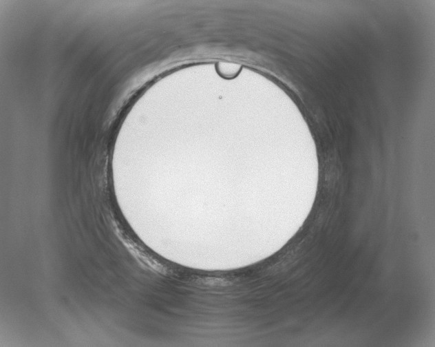X0000080171507200701051618