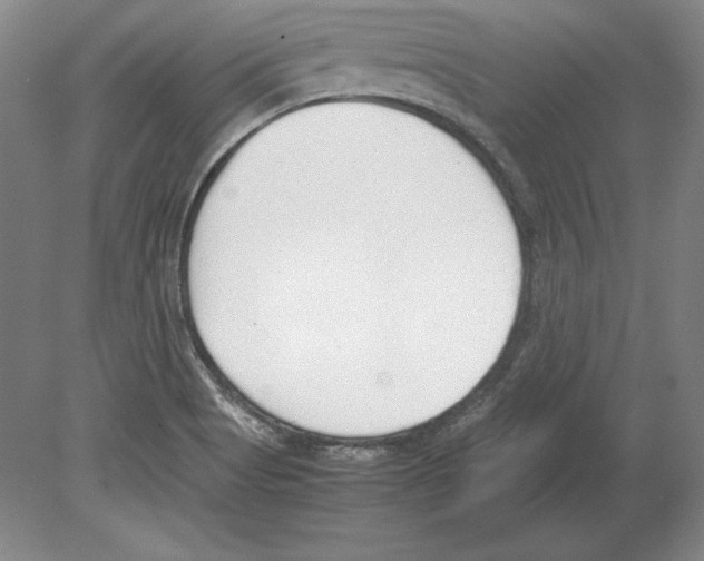 X0000080171513200701051618
