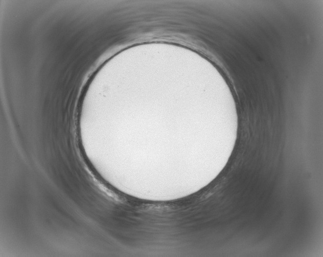 X0000080171525200701051618