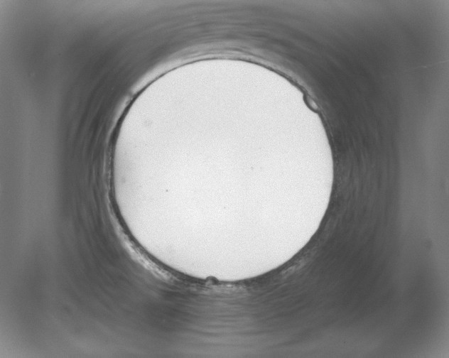 X0000080171526200701051618