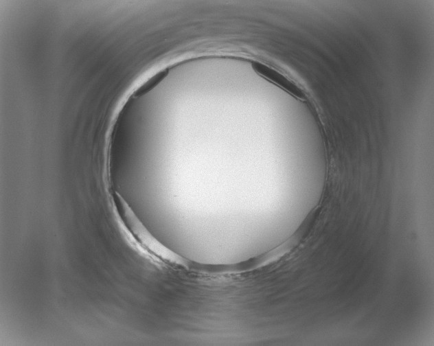 X0000080171528200701051618