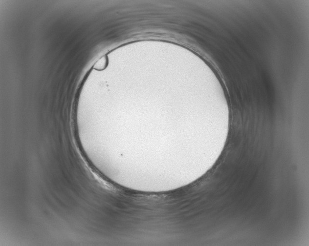 X0000080171533200701051618