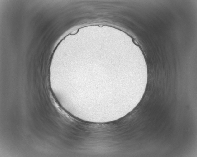 X0000080171534200701051618