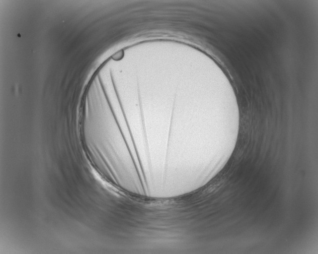X0000080171535200701051618