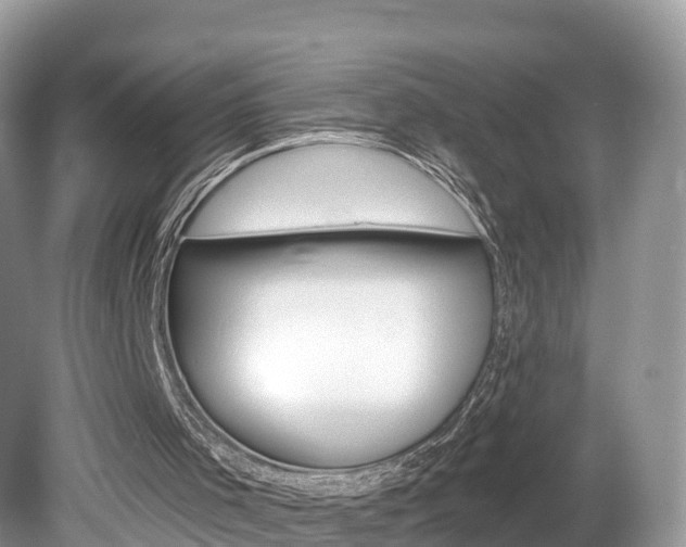 X0000080180001200612081146