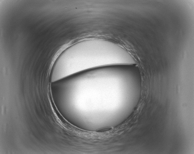 X0000080180003200612081146