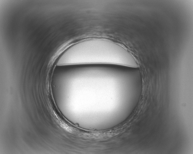 X0000080180005200612081146