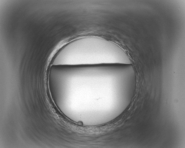 X0000080180006200612081146