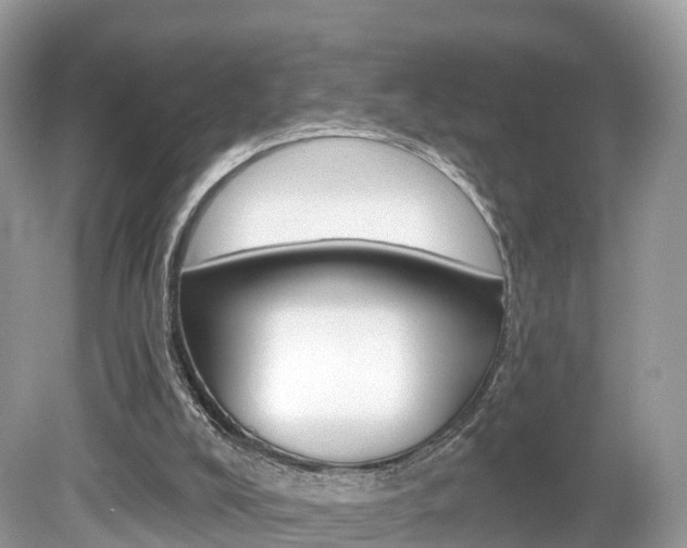 X0000080180008200612081146