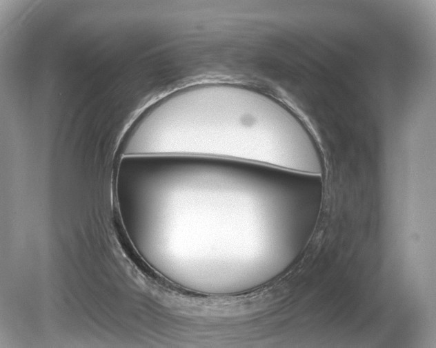 X0000080180011200612081146