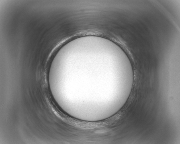 X0000080180012200612081146