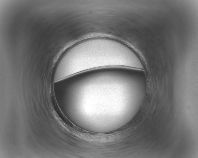 X0000080180015200612081146