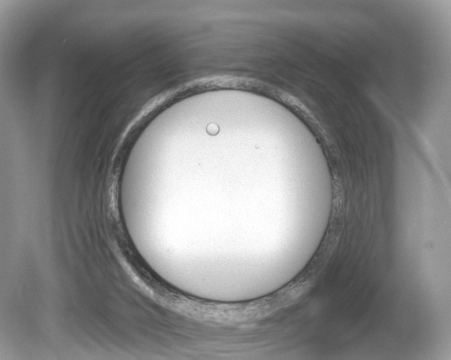 X0000080180016200612081146