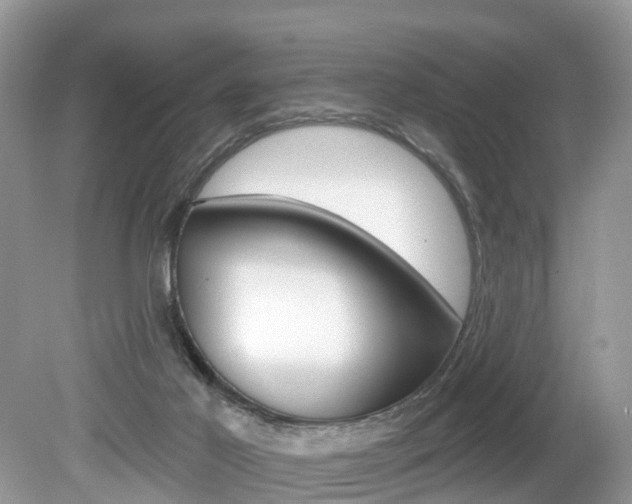 X0000080180021200612081146