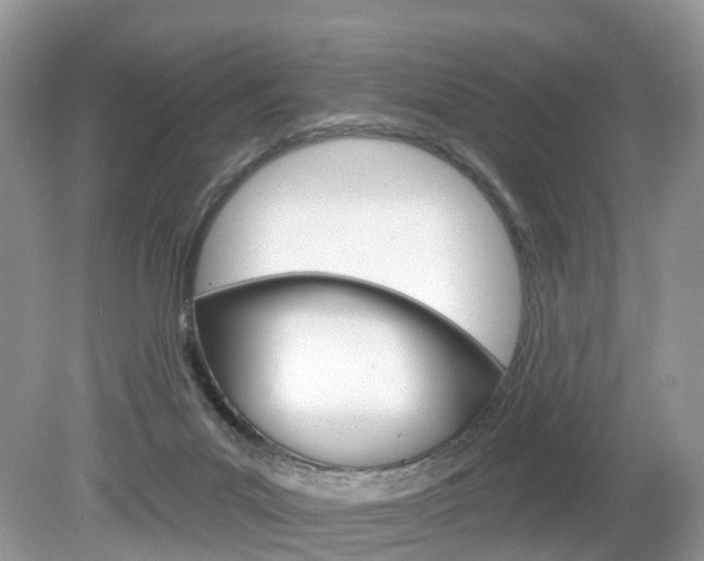 X0000080180023200612081146