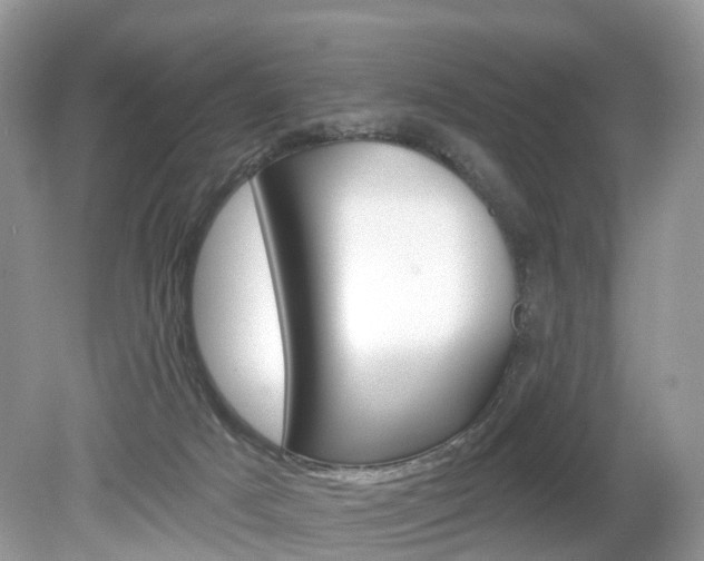 X0000080180025200612081145