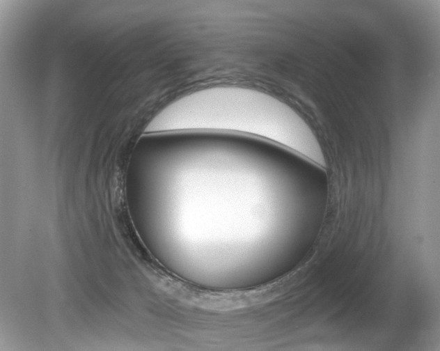 X0000080180029200612081145