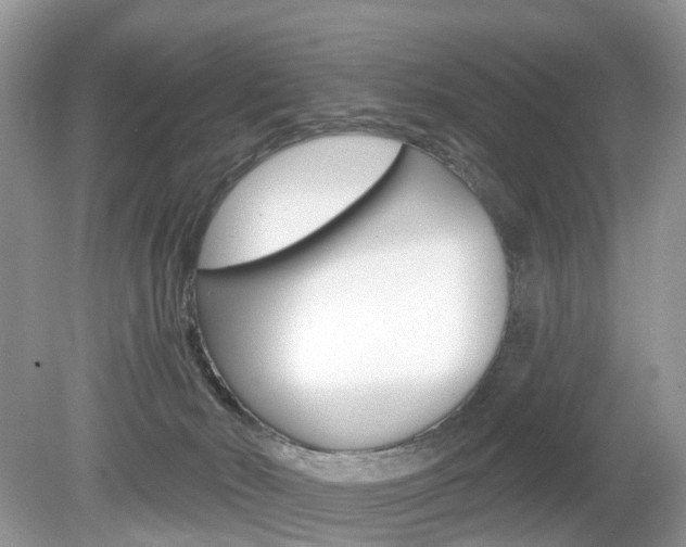 X0000080180030200612081145