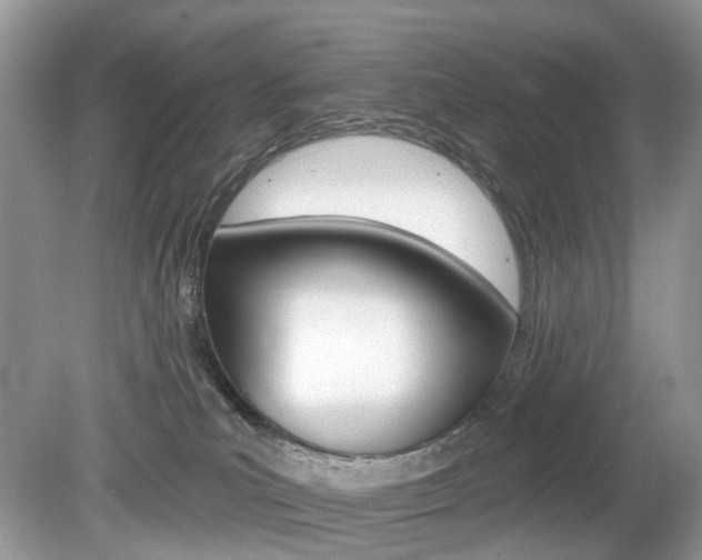 X0000080180039200612081145