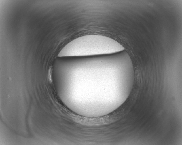 X0000080180042200612081145