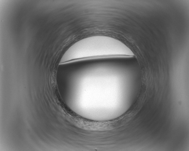 X0000080180044200612081145