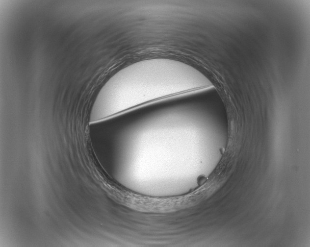 X0000080180048200612081145