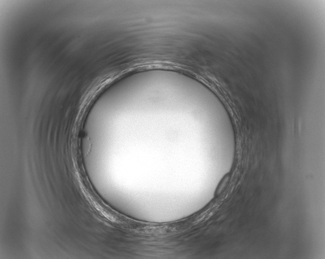 X0000080180049200612081144