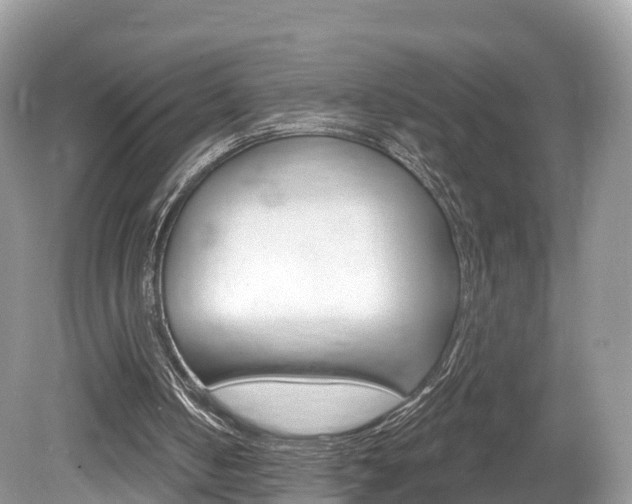 X0000080180050200612081144