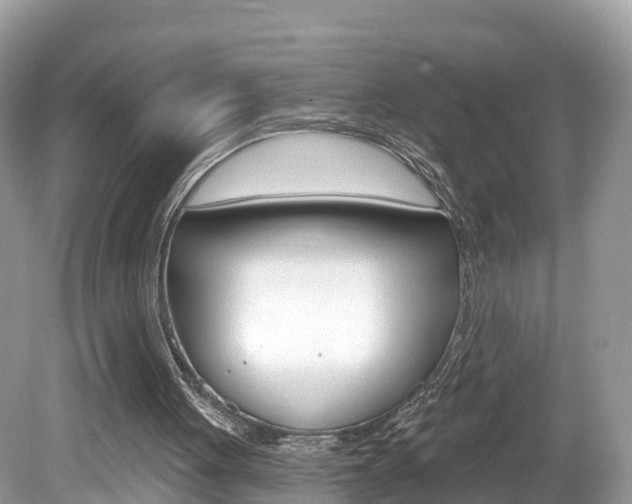 X0000080180051200612081144