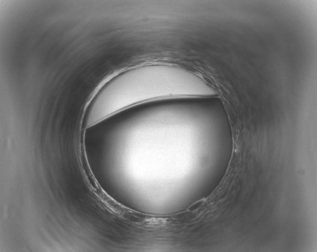 X0000080180052200612081144