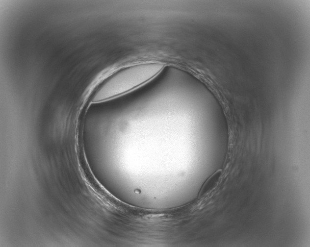 X0000080180054200612081144