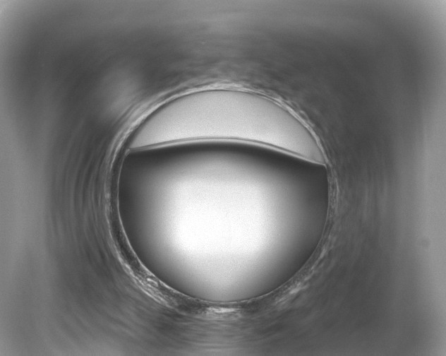 X0000080180055200612081144