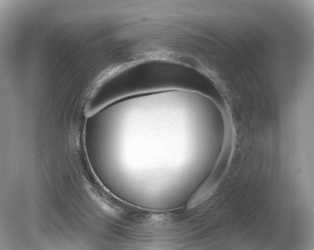 X0000080180060200612081144