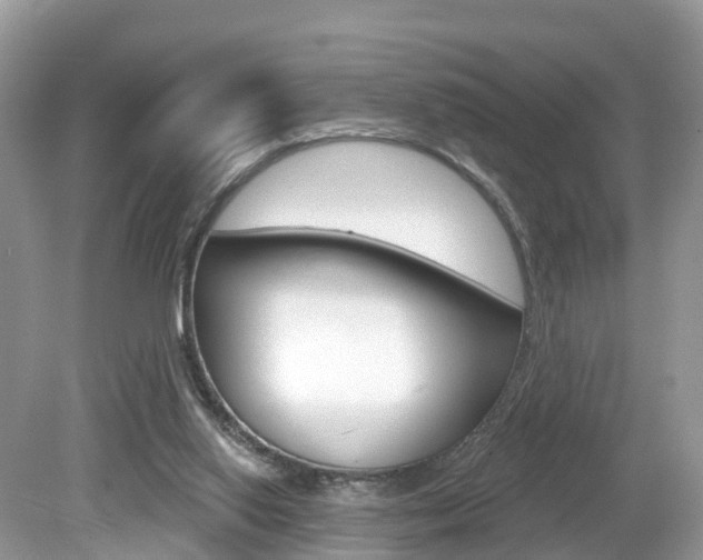 X0000080180062200612081144