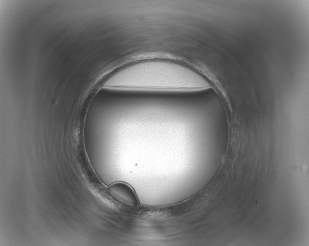 X0000080180063200612081145