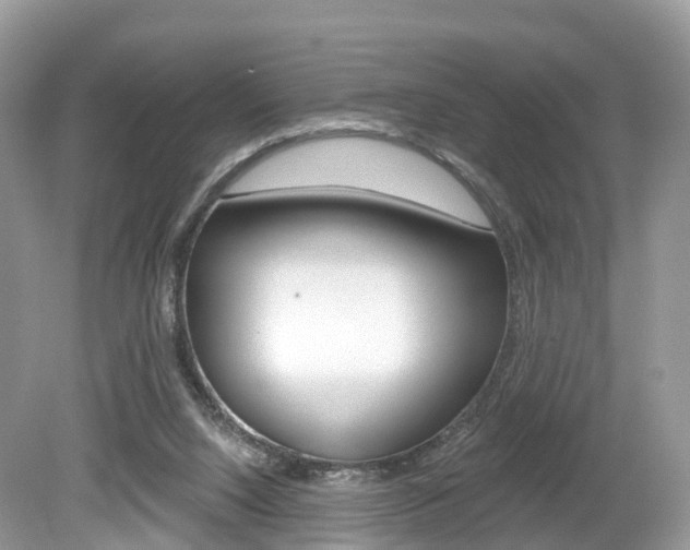 X0000080180064200612081145
