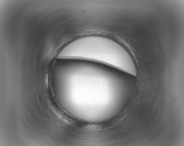 X0000080180067200612081145