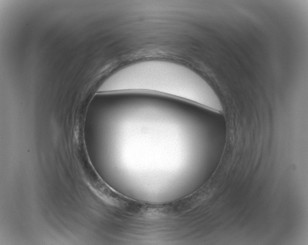X0000080180072200612081145