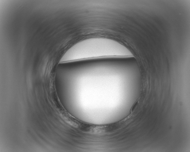 X0000080180078200612081145