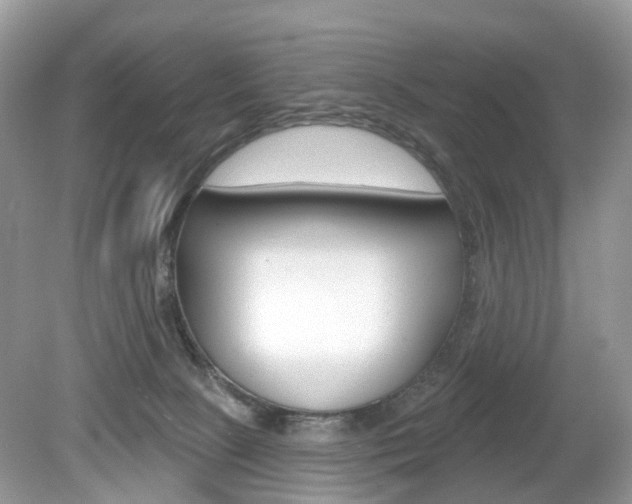 X0000080180081200612081145