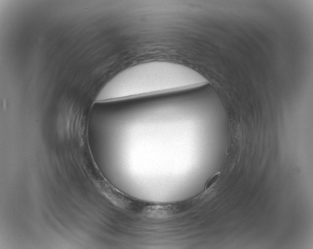 X0000080180082200612081145