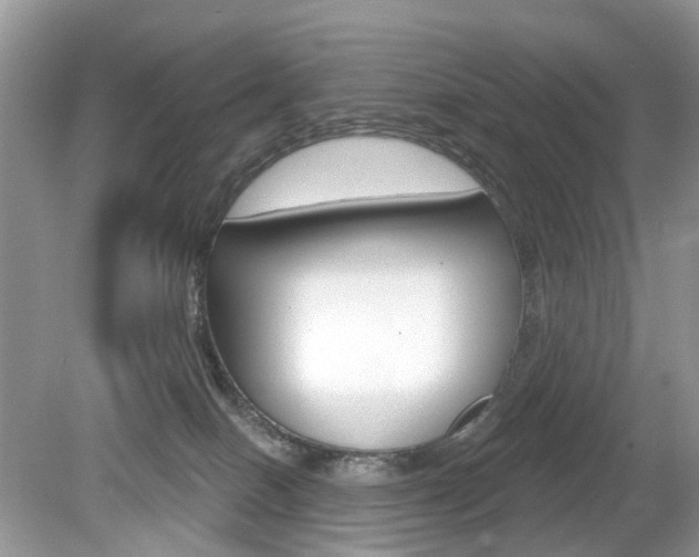 X0000080180086200612081145