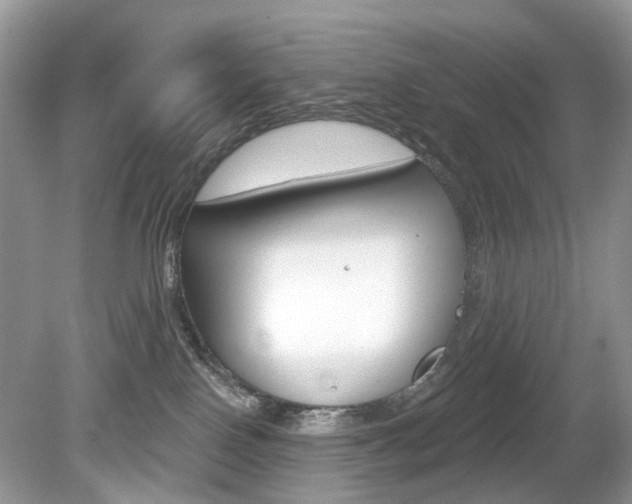 X0000080180090200612081145