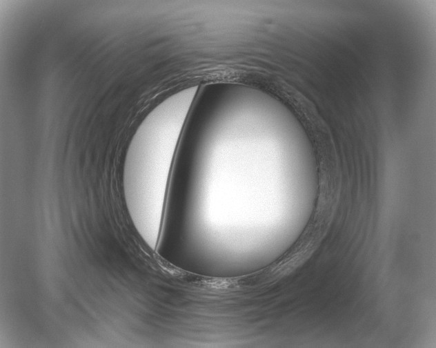 X0000080180096200612081145