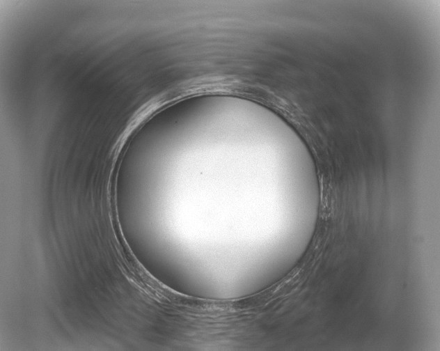 X0000080180099200612081144