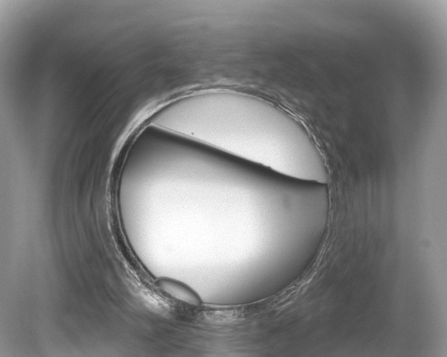 X0000080180102200612081144